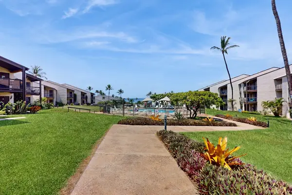 Tropical Walkway To Resort Amenities