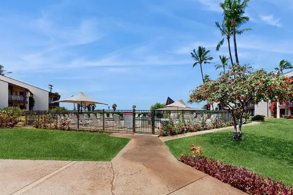 Relax by the community pool under the palms