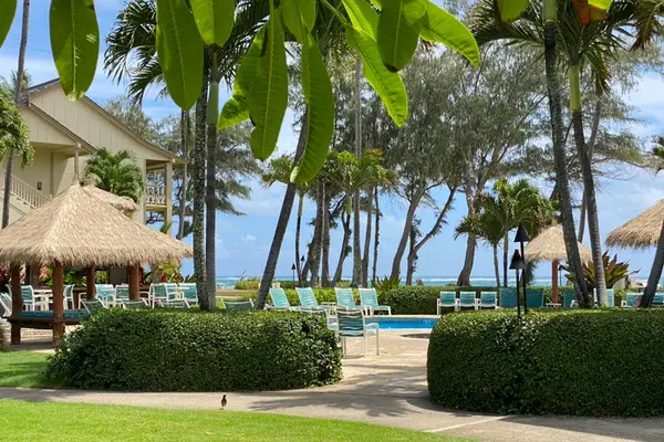 Tropical pathways through the resort