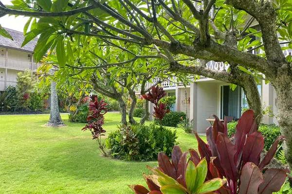 Lush courtyard with island landscaping