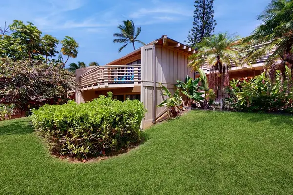 Green courtyard surrounds the home with palms, shrubs, and sunshine