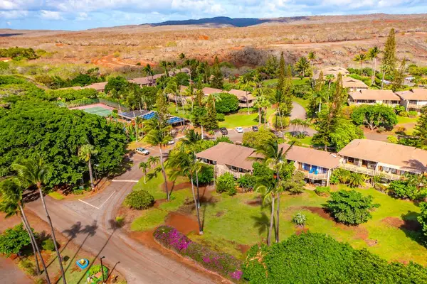 Aerial neighborhood view showcases tropical homes, rolling hills, island greenery