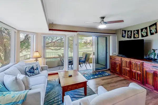 Bright Living Room With Scenic Tree Views