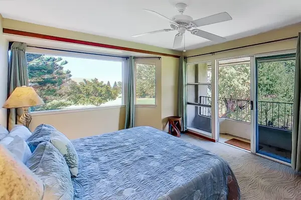 Wake Up To Lush Greenery Every Morning