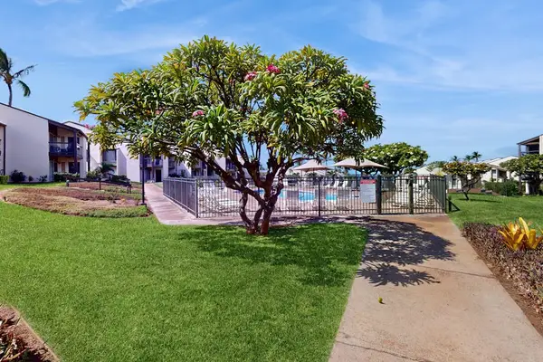 Tropical green space throughout the resort