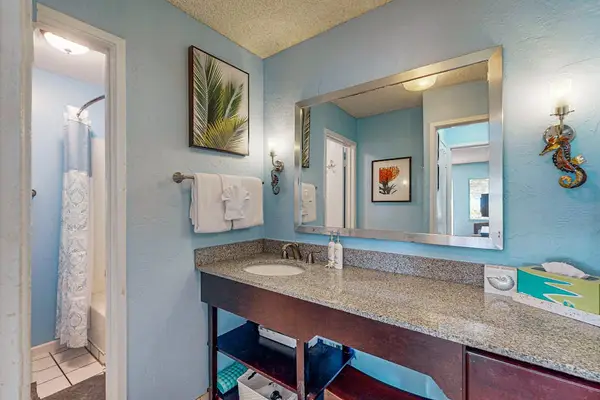 Master bathroom with walk-in shower.