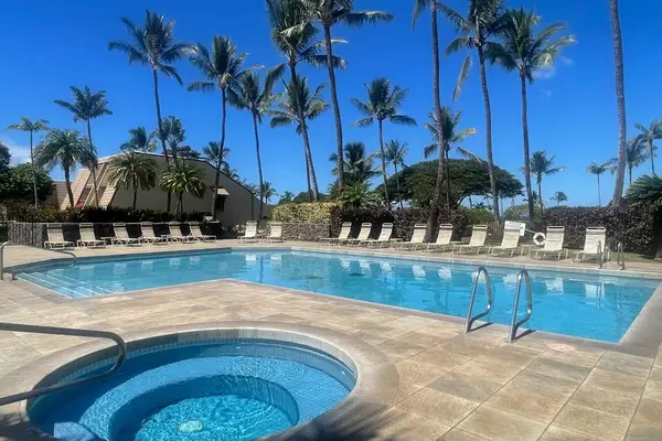 Relax in the bubbling hot tub under swaying palms