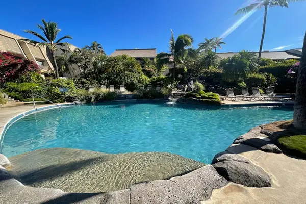 Enjoy a refreshing swim surrounded by lush greenery