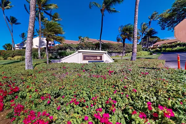 Vibrant Tropical Courtyard Gardens