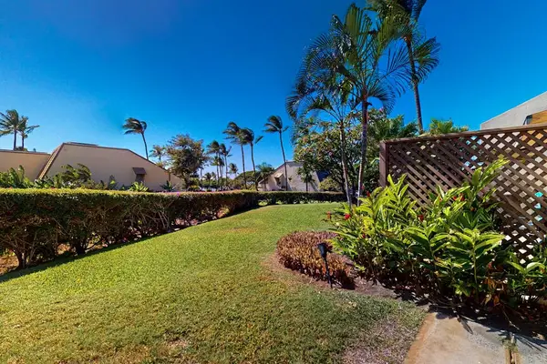 Lush Tropical Garden Pathway