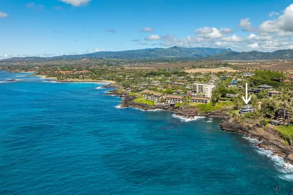 Aerial coastline view.