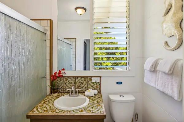 Guest bathroom with walk-in shower.
