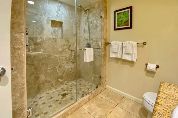 Walk-in shower with modern finishes