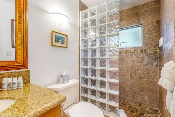 Elegant Guest Bathroom With Glass Block Shower