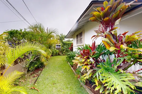 Green backyard offers a refreshing escape surrounded by beautiful tropical landscaping daily