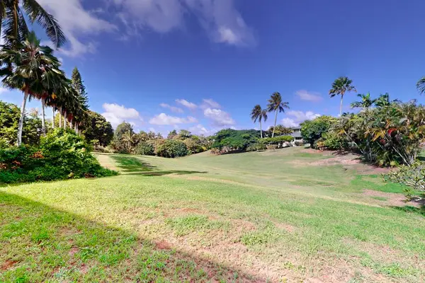 Expansive Lush Outdoor Lawn