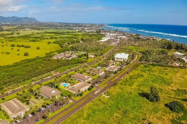 Panoramic Coastline From Above