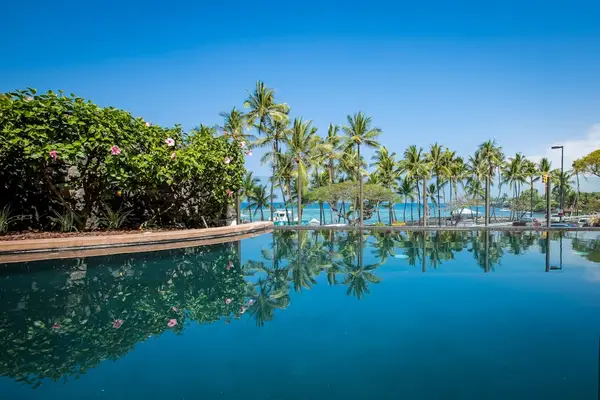 Tranquil Resort Pool Reflecting Lush Tropical Foliage and Palm Trees