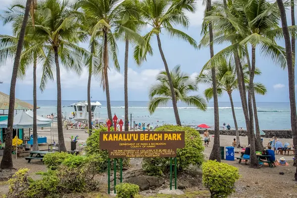 Kahaluʻu Beach Park Entrance Sign Framed by Tall Tropical Palm Trees and Ocean Backdrop