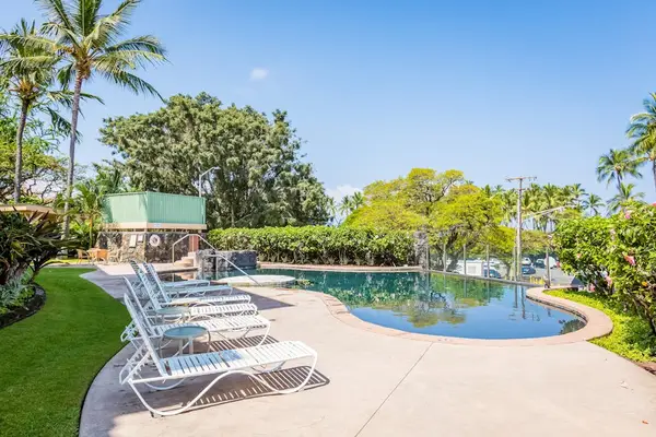 Spacious Pool Deck with Lounge Chairs, Swimming Pool, and Tropical Landscaping