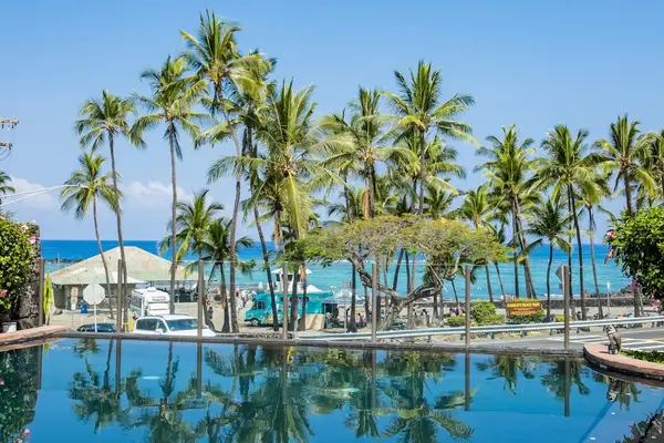 Resort Swimming Pool Surrounded by Tropical Palm Trees with Ocean Views