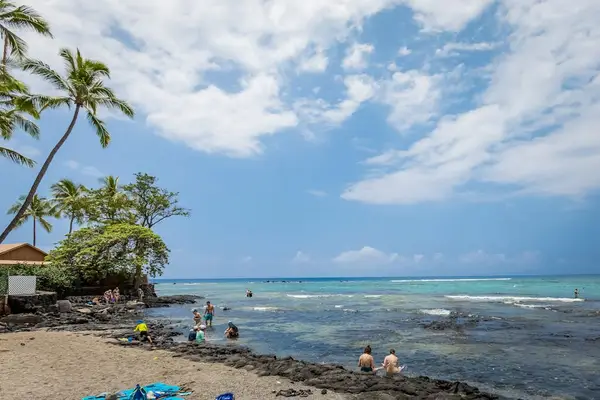 Scenic Beachfront Coastline with Sandy Shoreline, Tropical Palms, and Blue Ocean Waves