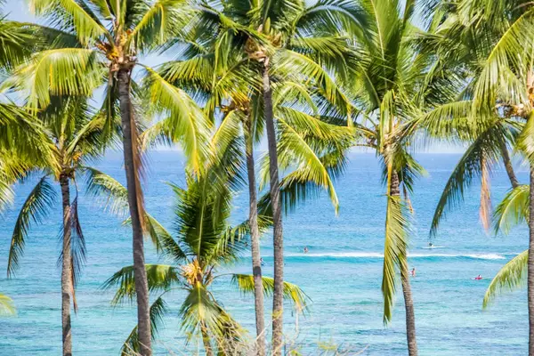 Vibrant Tropical Ocean View Framed by Swaying Coconut Palm Trees