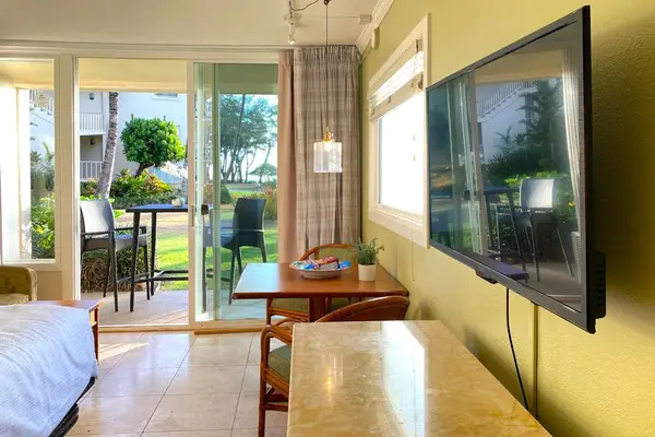 Open studio with seamless indoor-outdoor living