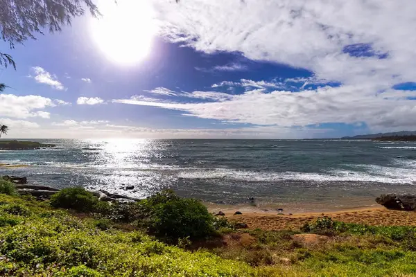 Marvel at the sparkling Pacific from the scenic beachfront lawn.