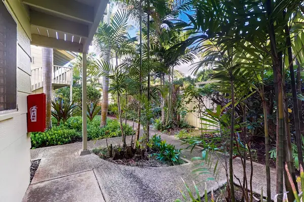 Peaceful tropical walkway surrounded by lush island landscaping.