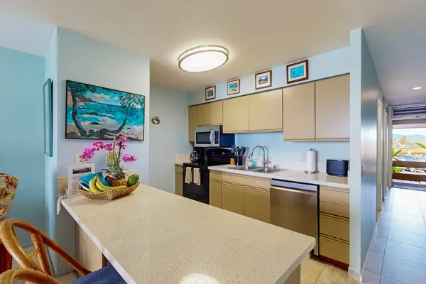 Open kitchen with everything needed for cooking