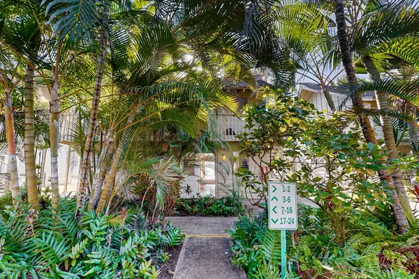 Tropical garden pathway leading to the guest accommodations.