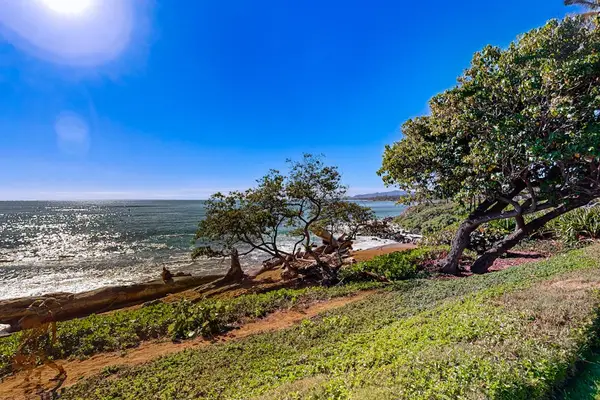 Coastal landscapes create the perfect setting for island relaxation.