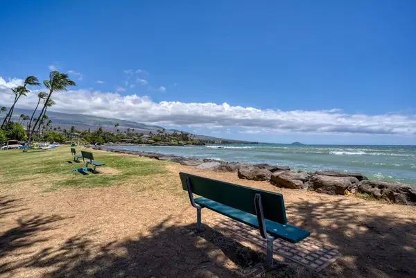 Peaceful Waterfront Relaxation Spot