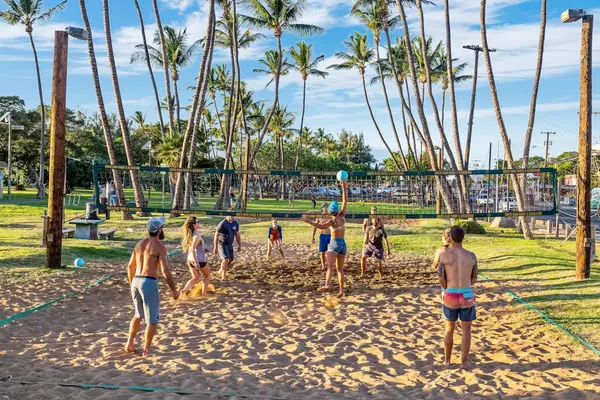 Palm Shaded Beach Park