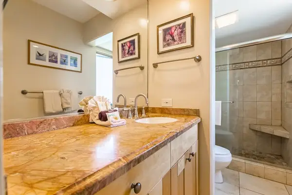 Spa Inspired Bathroom With Granite Vanity