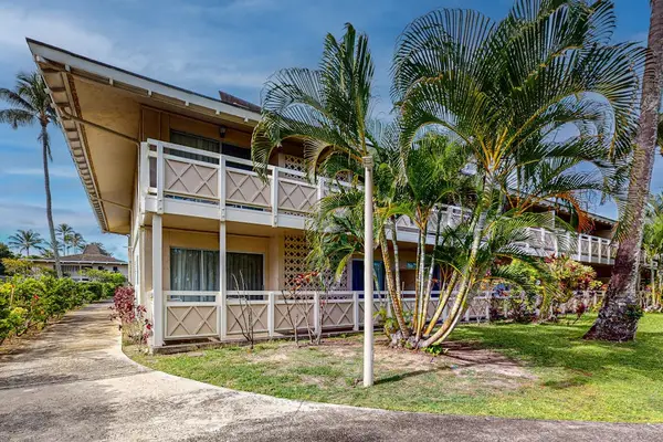 Tropical Resort Surrounded By Palms
