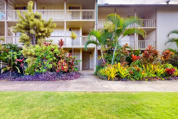 Lush Tropical Gardens In Bloom