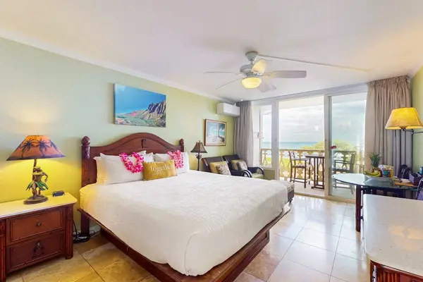 Spacious Studio With Resort Views