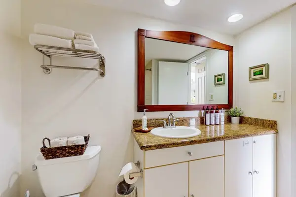 Spa-Inspired Full Bathroom