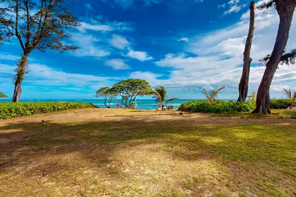 Oceanfront Lawn Steps From The Shore
