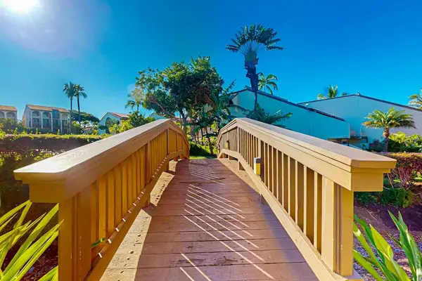 Take in beautiful ocean views from the resort grounds