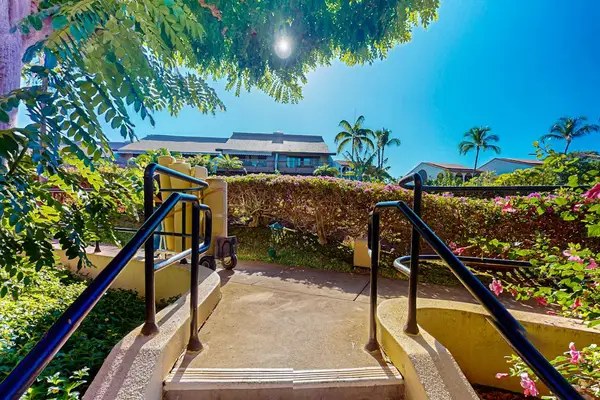 Stroll along scenic pathways surrounded by tropical greenery