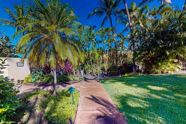 Wander through peaceful palm- lined resort paths