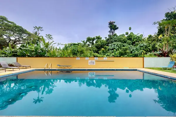 Resort Style Pool For Sunny Afternoons