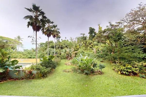 Lush Tropical Grounds To Explore