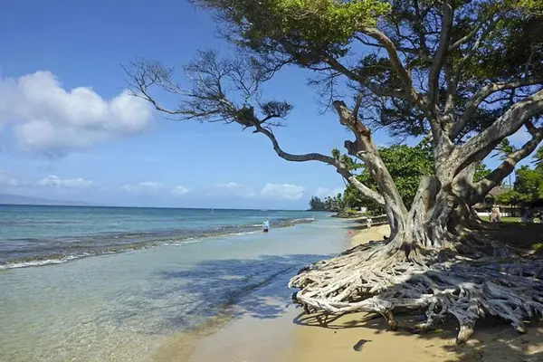 Hidden Cove With Crystal Clear Island Waters