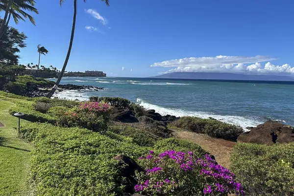 Oceanfront Paradise With Stunning Coastal Views