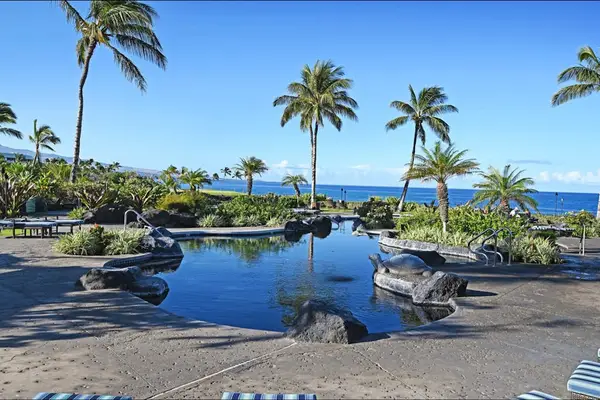 Infinity Pool With Ocean Views