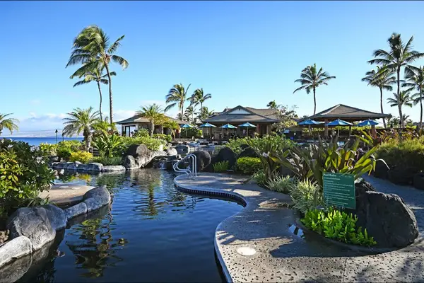 Scenic Lagoon Style Pool